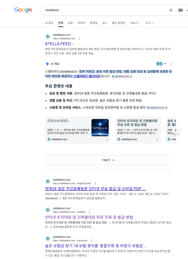 스텔라피드 구글 AI 브리핑 노출 화면